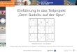 Mit freundlicher Unterstützung von: Einführung in das Teilprojekt Dem Sudoku auf der Spur Projektbetreuer: Uwe Gotzes Projektgrundlage: Artikel Mathematik
