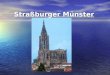 Straßburger Münster. Das Straßburger Münster Erbaut wurde es ab 1015, zunächst als romanische Kirche. Der Ostteil der Krypta stammt aus dieser Zeit. Aus