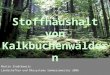 Landschaften und Ökosysteme Sommersemester 2006 Stoffhaushalt von Kalkbuchenwäldern Martin Stadtkowitz