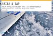 ARIBA & SAP Neue Möglichkeiten der Zusammenarbeit Predrag Gavrilovic, Christian Weigele/SAP Schweiz Juni 2013
