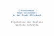 E-Government / Open Government in der Stadt Offenbach Ergebnisse der Analyse Nächste Schritte