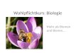 Wahlpflichtkurs: Biologie Mehr als Blumen und Bienen…