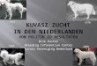 Dick Koster Breeding Information Center Kuvasz Vereniging Nederland 1970 1961 1985 2008