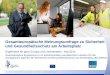 Gesamteuropäische Meinungsumfrage zu Sicherheit und Gesundheitsschutz am Arbeitsplatz Ergebnisse für ganz Europa und Liechtenstein - Mai 2013 Repräsentative
