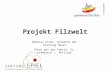 Projekt Filzwelt Mathias Ernst, Direktor der Stiftung Spiel Fotos aus der Fabrik: Dr. Frederick J. Phillips
