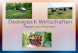 Ökologisch Wirtschaften Ungarn und Österreich. Was ist Ökologisches Landwirtschaften? Biologische Landwirtschaft Mineraldünger keine Geschmacksverstärker,