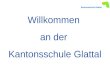 Willkommen an der Kantonsschule Glattal. Orientierungsabend für SekundarschülerInnen und Eltern Diese Präsentation finden Sie ab Freitag auf unserer Homepage