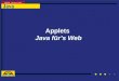 Applets Java fürs Web. Datenverkehr im www HTTP-ServerClient = Browser Internet Siehe S. 32-33, 323