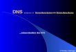 kleiner überblick über DNS DNS........ Domain Name System oder Domain Name Service © Nocker, Eislinger