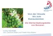Die Wertschöpfungskette von Bananen Institut SÜDWIND von: Caroline Glatte und Friedel Hütz-Adams Von der Staude bis zum Konsumenten