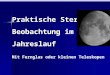 Do. 12./19. März 2009 Pädagogische Hochschule Robert Seeberger Praktische Stern- Beobachtung im Jahreslauf Mit Fernglas oder kleinen Teleskopen Pädagogische