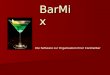 BarMix Die Software zur Organisation Ihrer Cocktailbar