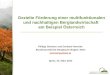 Philipp Gmeiner und Gerhard Hovorka Bundesanstalt für Bergbauernfragen, Wien  Gezielte Förderung einer multifunktionalen und nachhaltigen