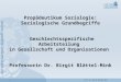 Prof. Dr. Birgit Blättel-Mink1 Propädeutikum Soziologie: Soziologische Grundbegriffe Geschlechtsspezifische Arbeitsteilung in Gesellschaft und Organisationen