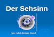 Der Sehsinn Hans Kehrli, Biologie, Altdorf. 1 - Bau des Auges 2 - Akkommodation 3 – Adaptation 4 – Netzhaut 5 – Farbensehen 6 - Räuml. Auflö- sungsvermögen