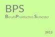BPS 2013 B erufs P raktisches S emester. Zielsetzungen BPS Theorie ohne Praxis ist für Genies, Praxis ohne Theorie für Verrückte und Schurken