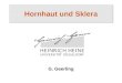 Hornhaut und Sklera G. Geerling. Besonderheiten Transparenz: Avaskuläres Stroma, endotheliale Pumpe, regelmäßiges Epithel und Tränenfilm, regelmässige