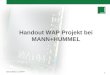 Bernd Reetz / LB-FFP 1 Handout WAP Projekt bei MANN+HUMMEL