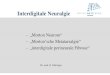 Interdigitale Neuralgie - Morton Neurom - Mortonsche Metatarsalgie - interdigitale perineurale Fibrose Dr. med. G. Flückiger