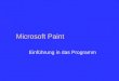 Microsoft Paint Einführung in das Programm. Überblick Wie startet man MS Paint? Wie ändert man die Farbe? Wie benutzt man die wichtigsten Werkzeuge? Wie