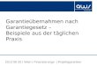 Garantieübernahmen nach Garantiegesetz – Beispiele aus der täglichen Praxis 2013 06 20 | Wien | Finanzierungs- | Projektgarantien