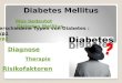 Diabetes Mellitus Was bedeutet Diabetes Mellitus Verschiedene Typen von Diabetes : Typ1 Typ2 Diagnose Therapie Risikofaktoren