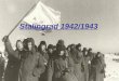 Stalingrad 1942/1943 Das sinnlose Morden Stalingrad 1942/1943