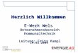 1 E-Werk Wels Unternehmensbereich Kommunaltechnik Leitung: Fritz Kampl Herzlich Willkommen 19.03.2009