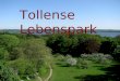 Eröffnungsbildschirm Tollense Lebenspark. Integrales Gemeinschaftsprojekt Tollense Lebenspark (Mecklenburg-Vorpommern) WIE WIR WIRKLICH LEBEN WOLLEN Praxisprojekt