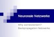 Neuronale Netzwerke Why connectionism? Backpropagation Netzwerke