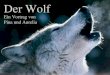 Der Wolf Ein Vortrag von Pina und Aurelia. Inhalt Aussehen Abstammung und Arten Lebensraum Fortpflanzung Leben im Rudel Jagd Einwanderung in die CH Mit