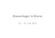 Klassenlager in Breno 20. – 25. Juni 2011. Bilder und Eindrücke 5. Klasse, Mauro Pelloni