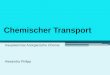 Chemischer Transport Hauptseminar Anorganische Chemie Alexandra Philipp