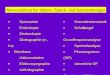 Spirometrie Endoskopie Stroboskopie Glottographie (e-, hv) Rheobase /Akkomodation Elektromyographie Artikulographie Sensokinetomotorik Schallpegel Grundfrequenzanalyse