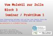 Vom Molekül zur Zelle Block 3 Seminar / Praktikum 1 Georg Weitzer, Ernst Müllner Max F. Perutz Laboratories (MFPL) Department für Medizinische Biochemie
