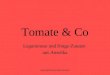 Copyright.Martina Kaller-Dietrich Tomate & Co Leguminose und fringe-Zutaten aus Amerika