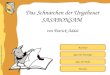 Inhaltliche Aufbereitung: Brigitte Schwarzlmüller Quiz für Einsteiger Quiz für Profis Buchinfo von Patrick Addai Das Schnarchen der Ungeheuer SASABONSAM