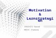 Motivation&Lernstrategien IRSCHITZ Bernd MEDIC Vladana