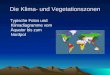 Die Klima- und Vegetationszonen Typische Fotos und Klimadiagramme vom Äquator bis zum Nordpol