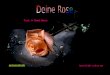Text: © Gerd Hess hme12@t-online.de automatisch Tief versteckt im Märchen-Tal, blüht der schönsten Rosen eine -; sie ist Deine -; sucht ich sie viel