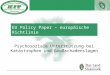Autor EU Policy Paper – europäische Richtlinie Psychosoziale Unterstützung bei Katastrophen und Großschadenslagen