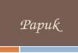 Papuk. Der Naturpark Papuk befindet sich im őstlichen Kroatien auf dem Waldgebiet des Berges Papuk. Im Jahre 1999. ist Papuk zum Naturpark ernannt