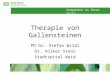 Kompetenz an Ihrer Seite Therapie von Gallensteinen PD Dr. Stefan Wildi Dr. Volker Stenz Stadtspital Waid