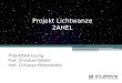 Projekt Lichtwanze 2AHEL Projektbetreuung: Prof. Christian Walter Prof. Christian Pöllendorfer