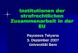 Institutionen der strafrechtlichen Zusammenarbeit in der EU Payosova Tetyana 3. Dezember 2007 Universität Bern