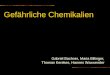 Gefährliche Chemikalien Gabriel Bachner, Maria Billinger, Thomas Kerekes, Hannes Waxwender