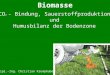 CO 2 - Bindung, Sauerstoffproduktion und Humusbilanz der Bodenzone Dipl.-Ing. Christian Krumphuber Biomasse