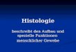 Histologie beschreibt den Aufbau und spezielle Funktionen menschlicher Gewebe