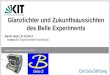 KIT – Universität des Landes Baden-Württemberg und nationales Forschungszentrum in der Helmholtz-Gemeinschaft Institut für Experimentelle Kernphysik (IEKP)