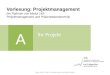 Vorlesung: Projektmanagement (im Rahmen von Modul 142: Projektmanagement und Präsentationstechnik) A Ihr Projekt 1 SoSe_2014 _Prof. Dr. Werner Stork und
